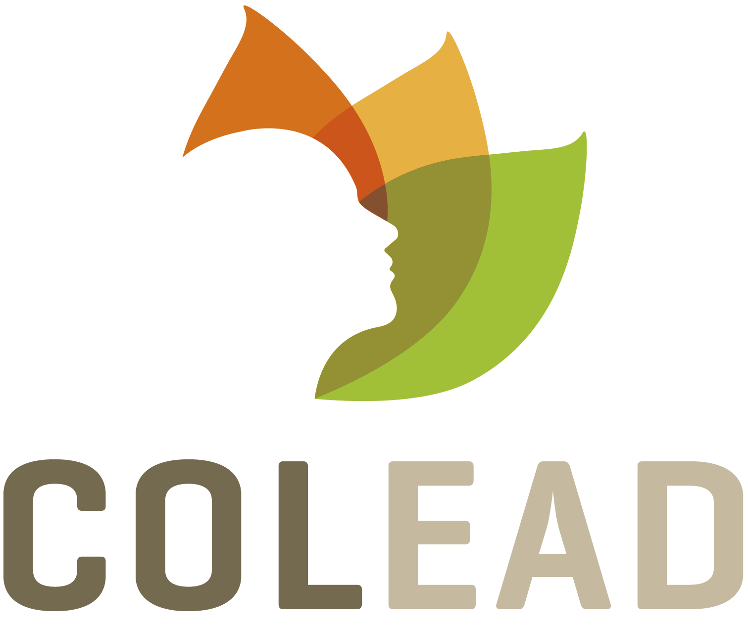 COLEAD logo