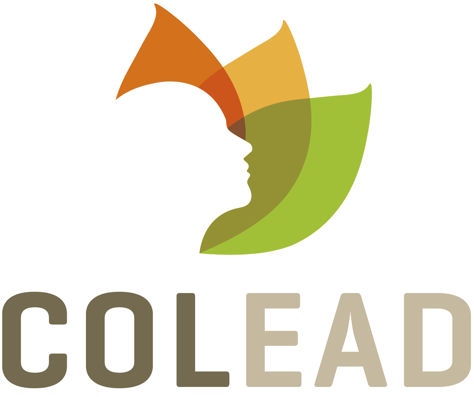 COLEAD logo